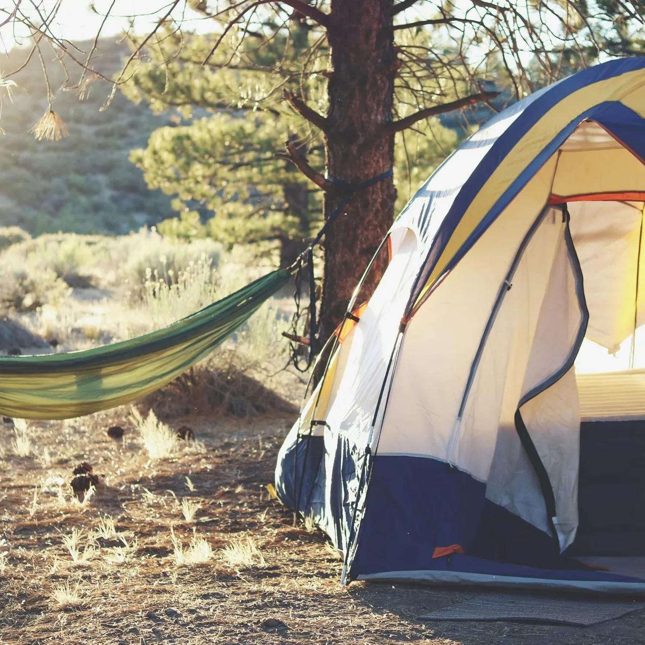 A tent and hammock at a camp site