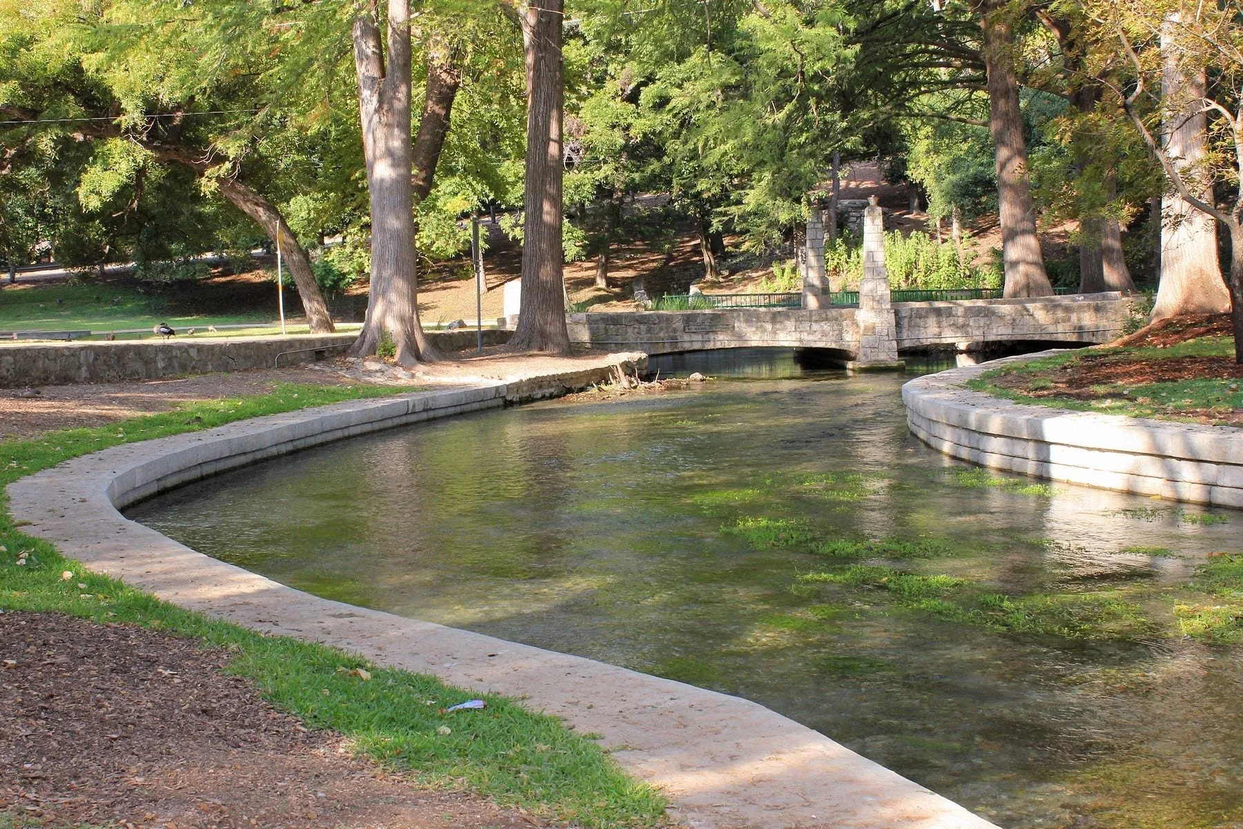 Comal River Tubing Guide