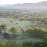 Garner State Park: The Hill Country's Best Summer Family Park (and How to Actually Get In)