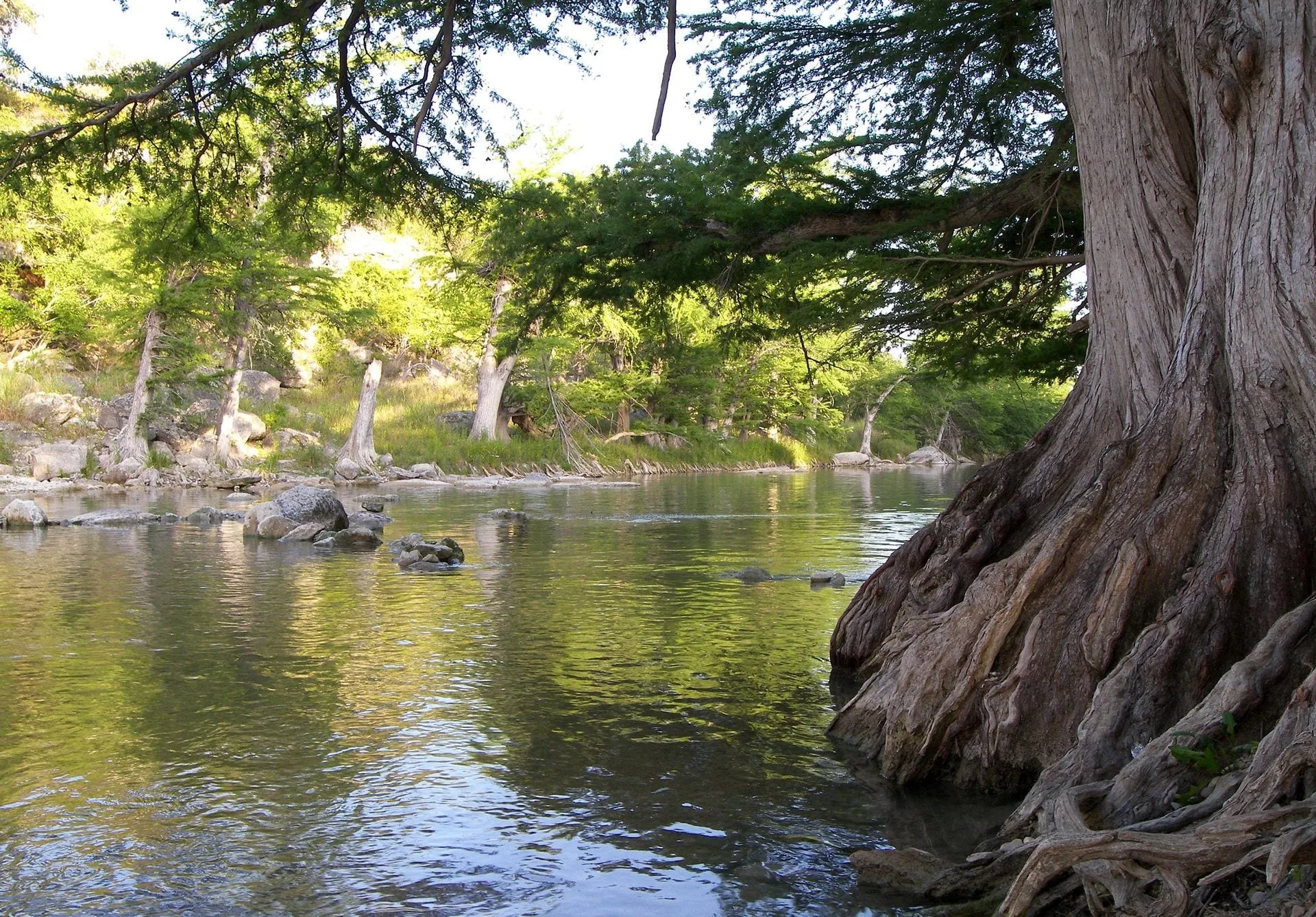 Guadalupe River Float Guide