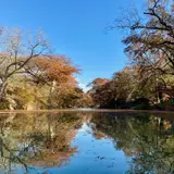 The Guadalupe River in the Texas autumn.