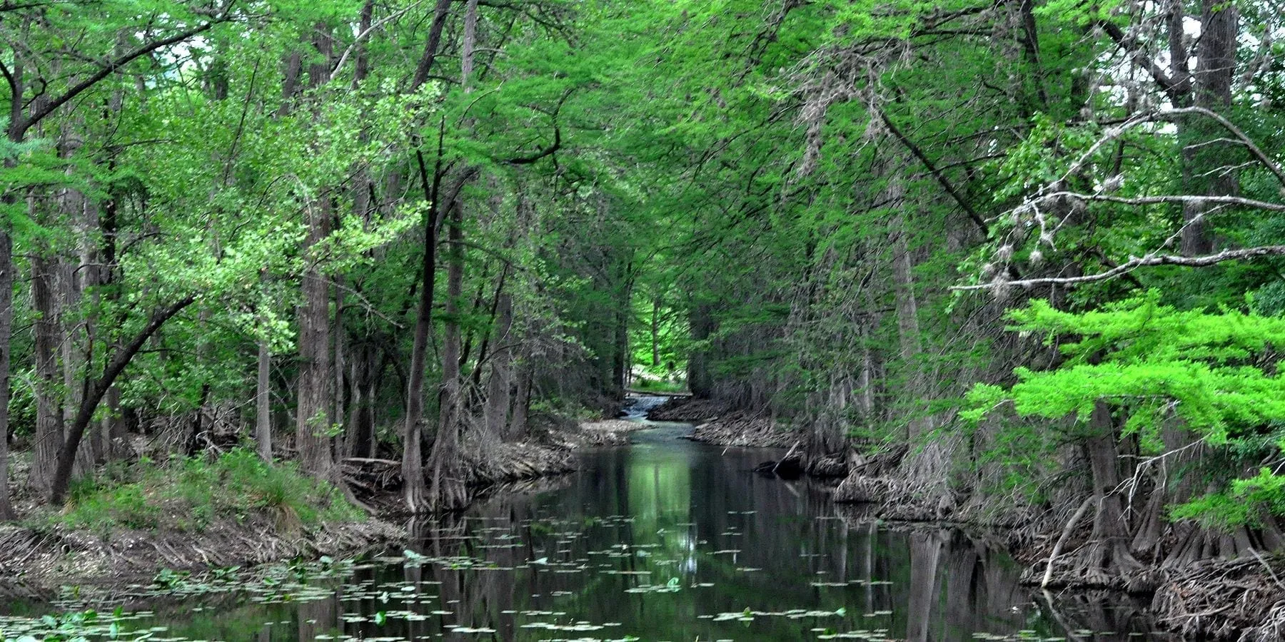 A Perfect Weekend in Kerrville: River Town, Big Park, and the Folk Festival
