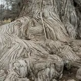 Guadalupe River State Park Guide: Trails, Camping, and a Calmer Side of the River