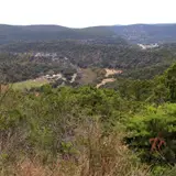 Panoramic view from the East Trail scenic overlook at Lost Maples State Natural Area