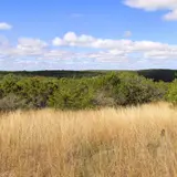 View from the high point of the West Trail at Lost Maples State Natural Area