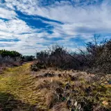 A hiking path winding through Pedernales Falls State Park