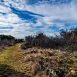 Shaded trail at Pedernales Falls State Park