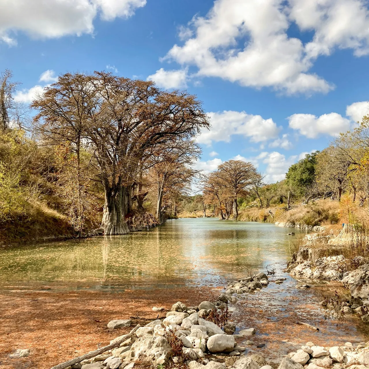 Autumn trees and foliage along the clear water of the Guadalupe River in Texas