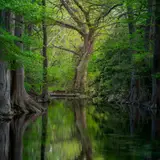 Wimberley, Texas During the Spring