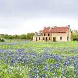 Willow City Loop Guide: The Spring Drive, the Private-Land Reality, and When to Choose Peach Loop Instead